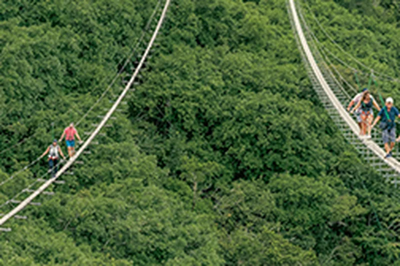 Nepalese bridge aerial view Mauritius