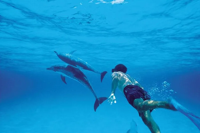 Catamaran cruise Crystal Rock Mauritius