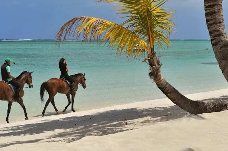 Beach horse riding Mauritius tropical