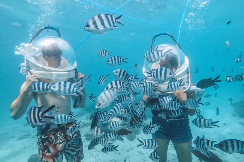Undersea walk helmet diving Mauritius marine life
