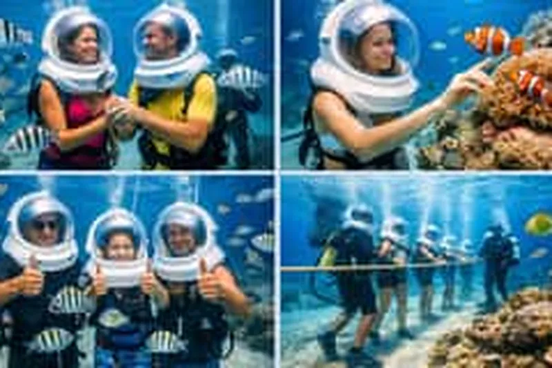 Tropical fish and coral reef undersea walk Mauritius