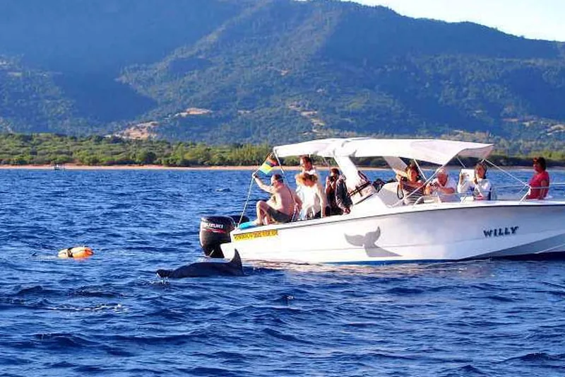 Whale watching boat, Mauritius